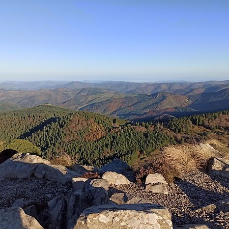 Gite Le Rocher Du Chateau De Retourtour Lamastre Kültér fotó