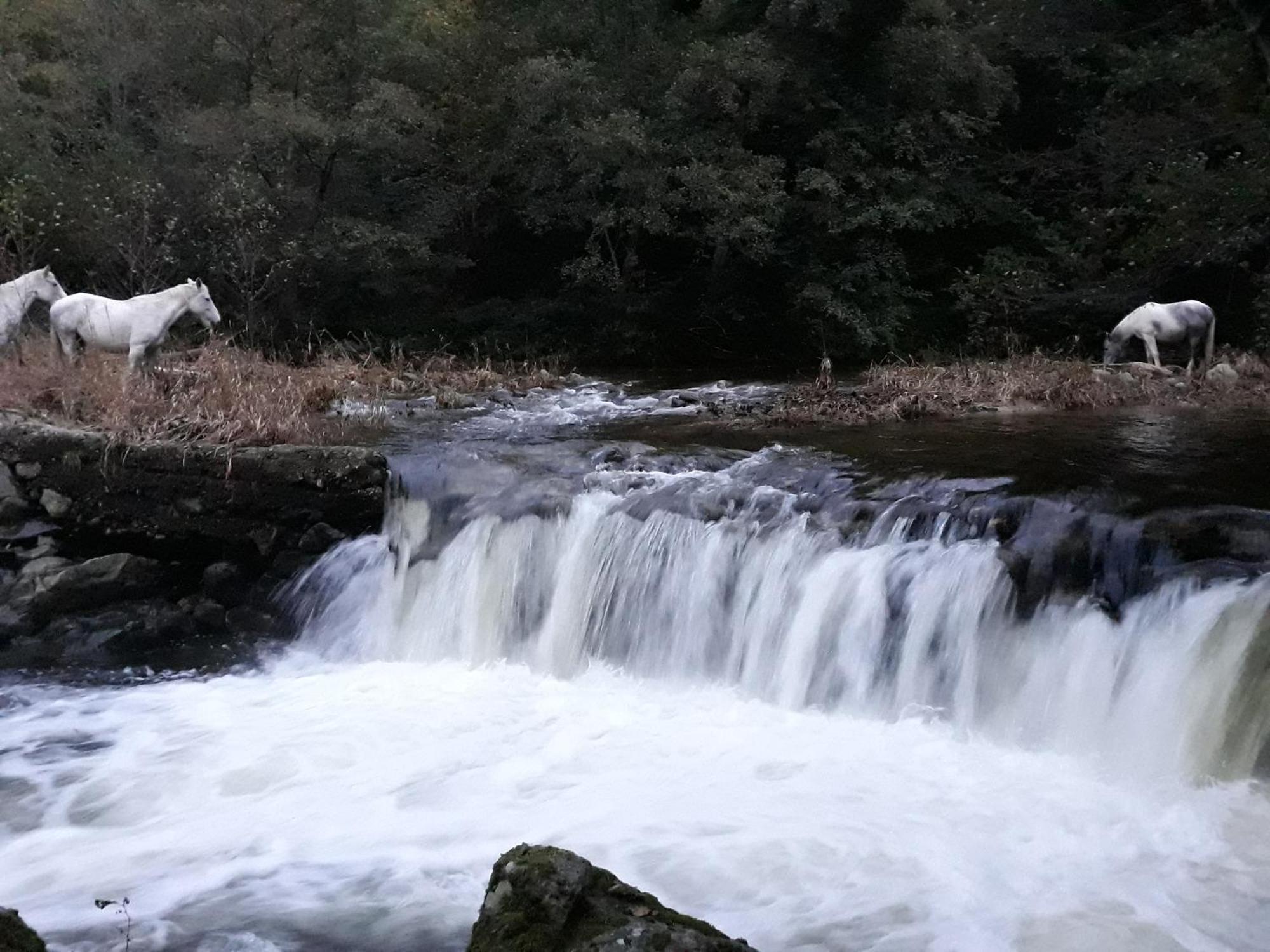 Gite Le Rocher Du Chateau De Retourtour Lamastre Kültér fotó